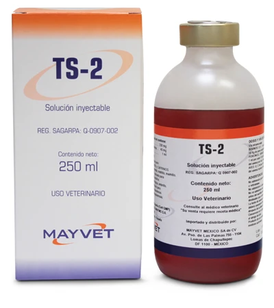 TS-2