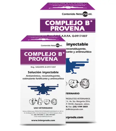 complejo b provena